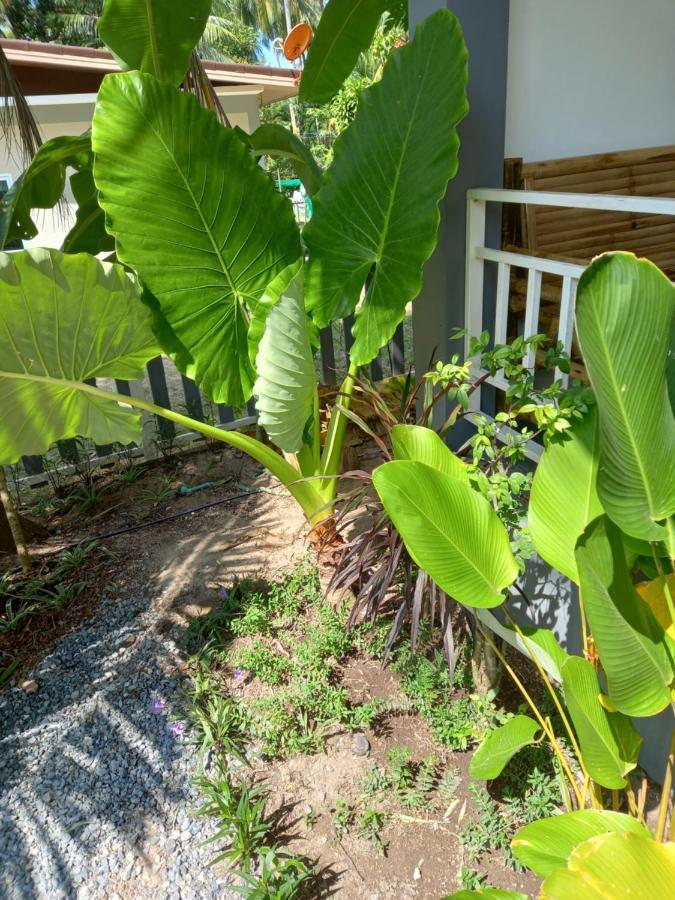 Country house Sweet Phangan N5